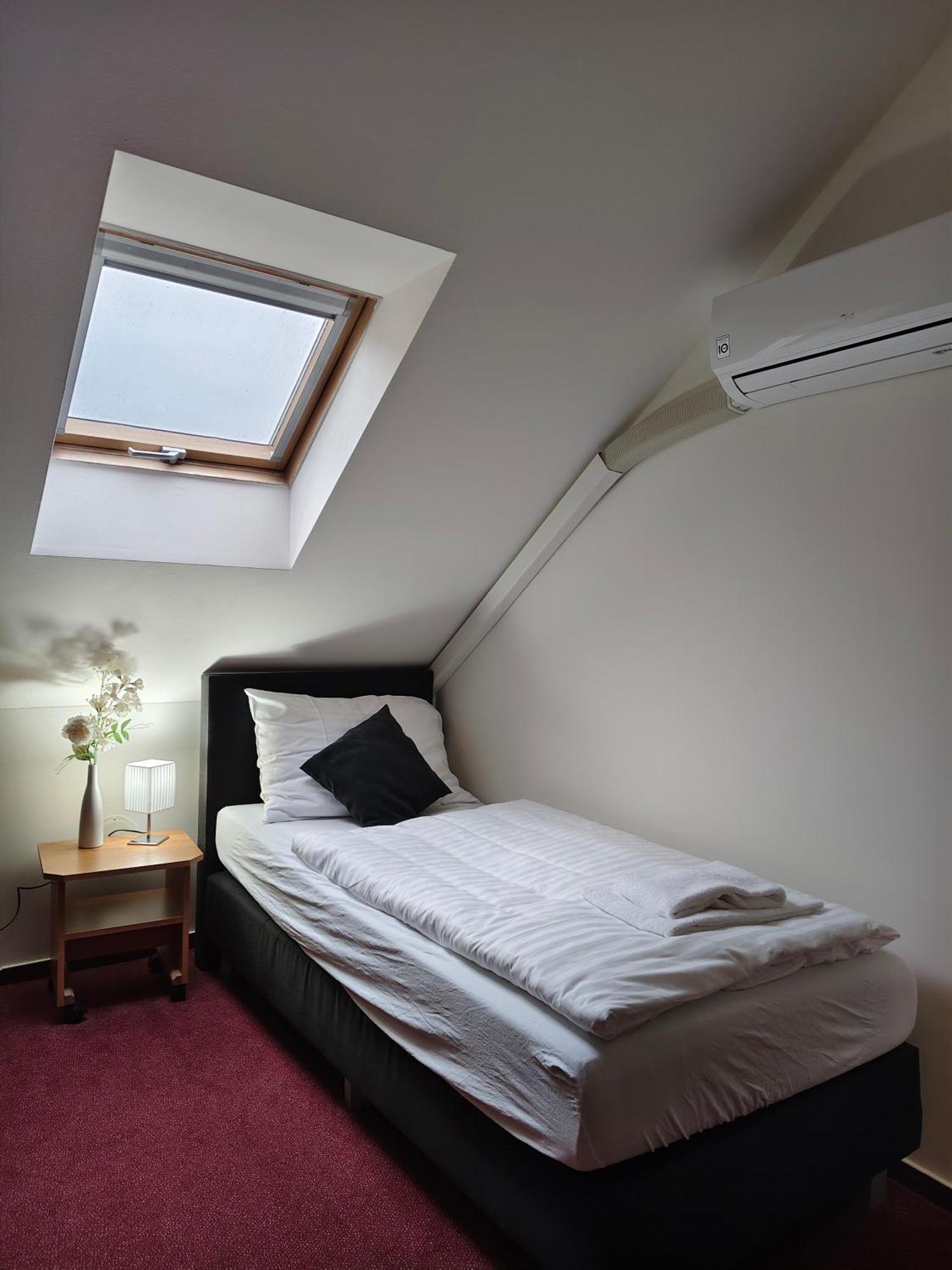 Hotel Bily Konicek Třeboň المظهر الخارجي الصورة